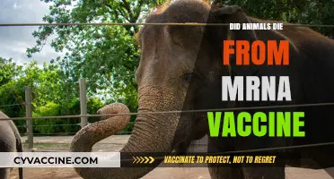 Did mRNA Vaccines Harm Animals? Separating Facts from Fiction
