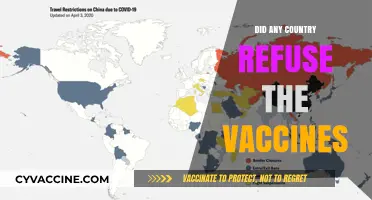 Global Vaccine Hesitancy: Which Nations Declined COVID-19 Immunization Efforts?