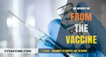 Vaccine Safety: Examining Fatalities Linked to COVID-19 Vaccinations