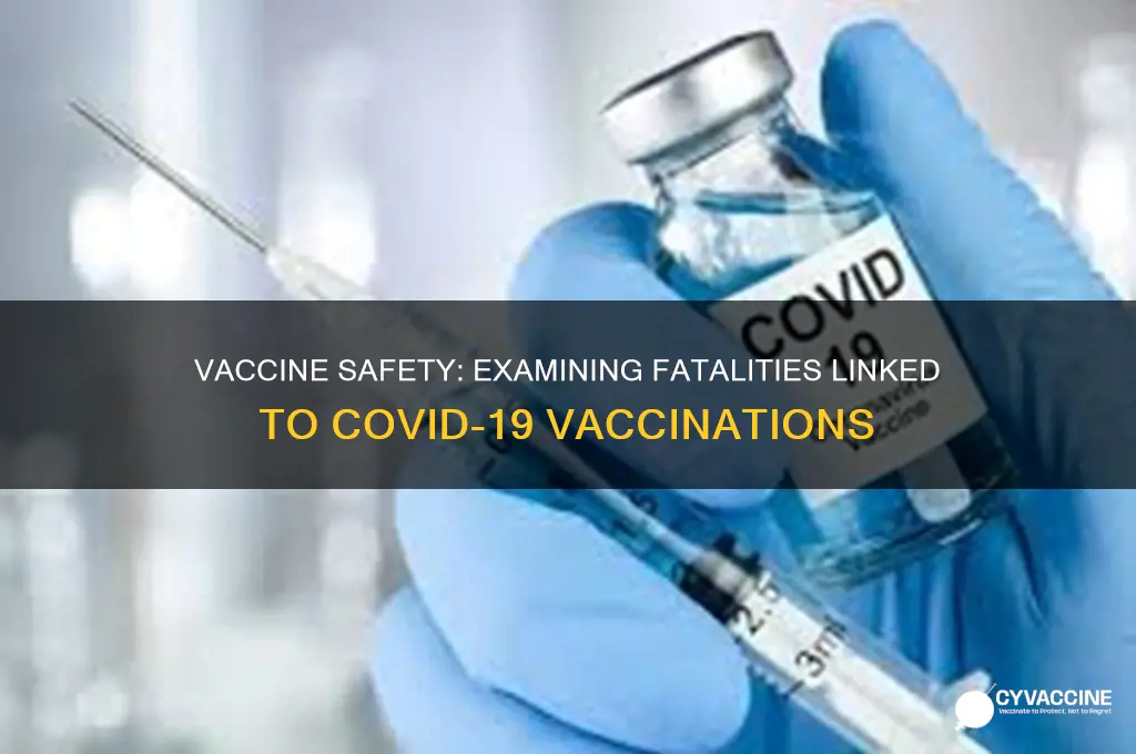 did anybody die from the vaccine