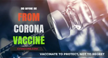 Did Anyone Die from the COVID-19 Vaccine? Facts vs. Myths