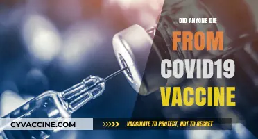 COVID-19 Vaccine Deaths: Separating Fact from Fiction and Misinformation