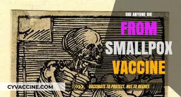 Smallpox Vaccine Deaths: Separating Fact from Fiction in Immunization History