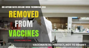 Autism Rates and Thimerosal-Free Vaccines: A Study