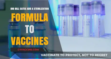 Bill Gates Sterilization Formula: Myth or Reality?