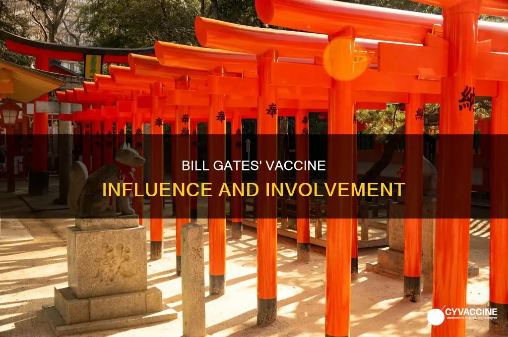 did bill gates have anything to do with the vaccine
