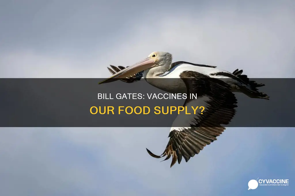 did bill gates say vaccines in our food supply