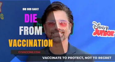 Bob Saget's Death: Unraveling the Vaccination Speculation and Facts