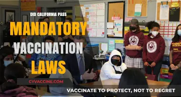 California's Mandatory Vaccination Laws: What You Need to Know