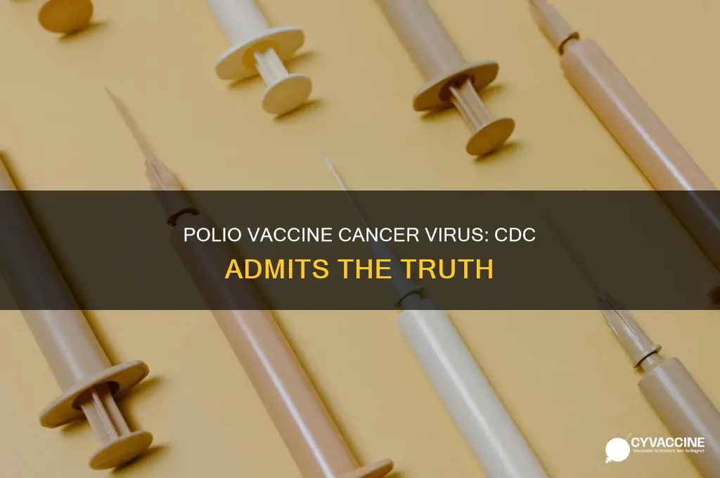 did cdc admit polio vaccine had cancer virus