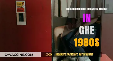 Hepatitis Vaccine History: Did Children Receive It in the 1980s?