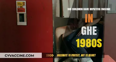 Hepatitis Vaccine History: Children in the 1980s