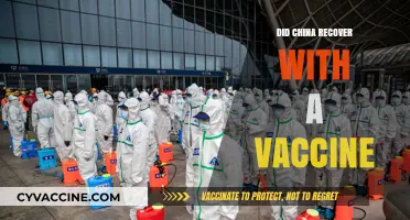 China's COVID-19 Recovery: Vaccine Success or Strategic Measures?