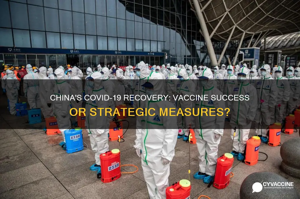 did china recover with a vaccine