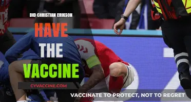 Christian Eriksen's Collapse: Vaccine Speculation and the Facts