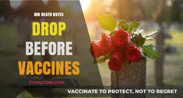 Did Death Rates Decline Before Vaccines? Uncovering Historical Health Trends