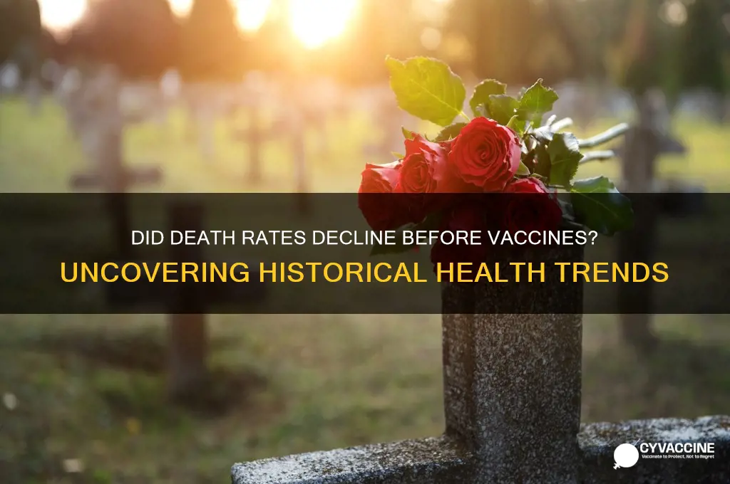 did death rates drop before vaccines