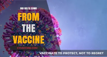Did COVID-19 Vaccines Cause the Delta Variant? Separating Fact from Fiction