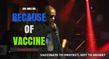 DMX's Death: Unraveling the Vaccine Speculation and Facts