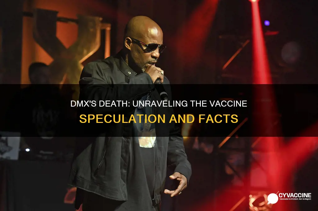 did dmx die because of vaccine