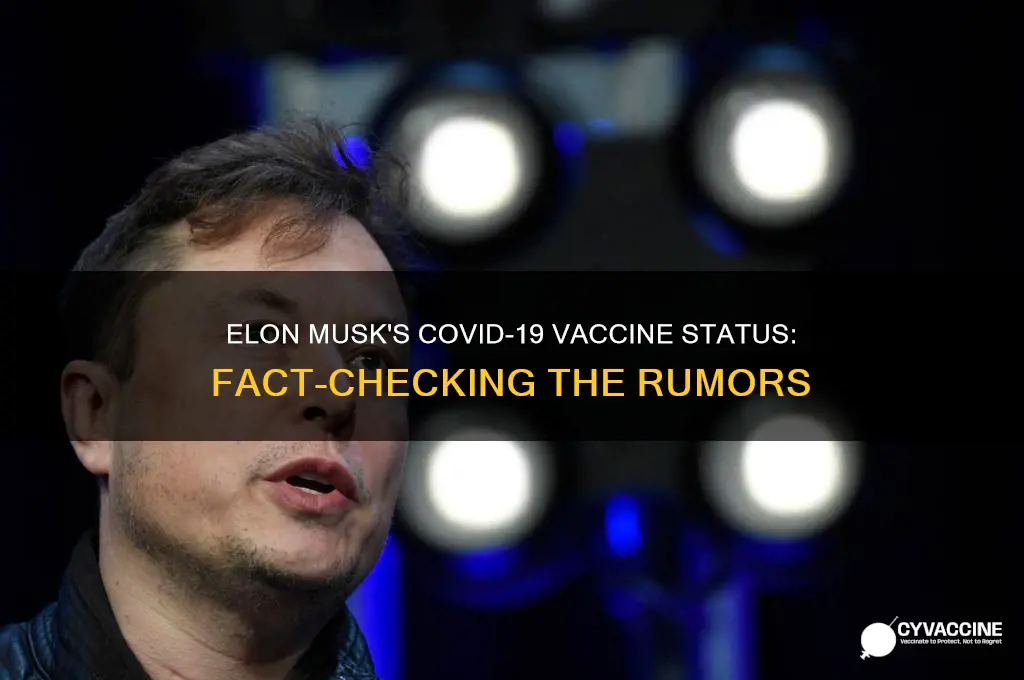 did elon musk got the vaccine