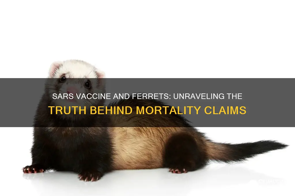 did ferrets die after sars vaccine