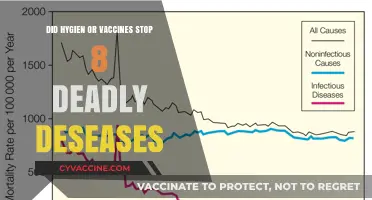Vaccines and Hygiene: Defeating 8 Deadly Diseases