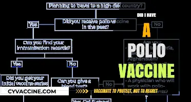 Did I Have a Polio Vaccine? How to Check Your Immunization History