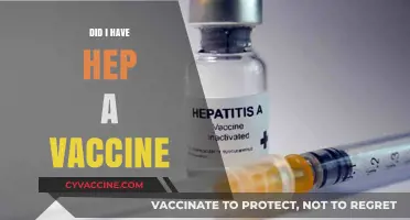 Did I Have the Hepatitis A Vaccine? How to Check