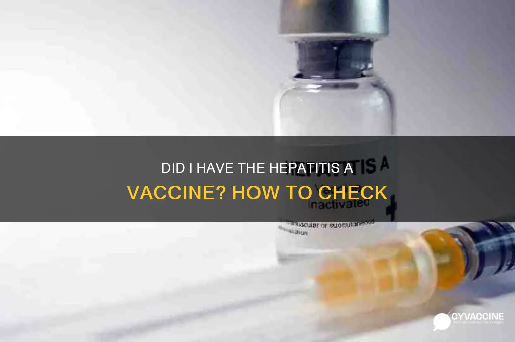 did i have hep a vaccine