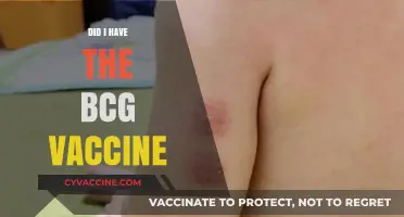 Did I Have the BCG Vaccine? How to Check and Why It Matters
