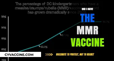 Did I Have the MMR Vaccine? How to Check Your Immunization Records