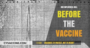 Did Influenza Kill Before the Vaccine? Historical Insights Revealed