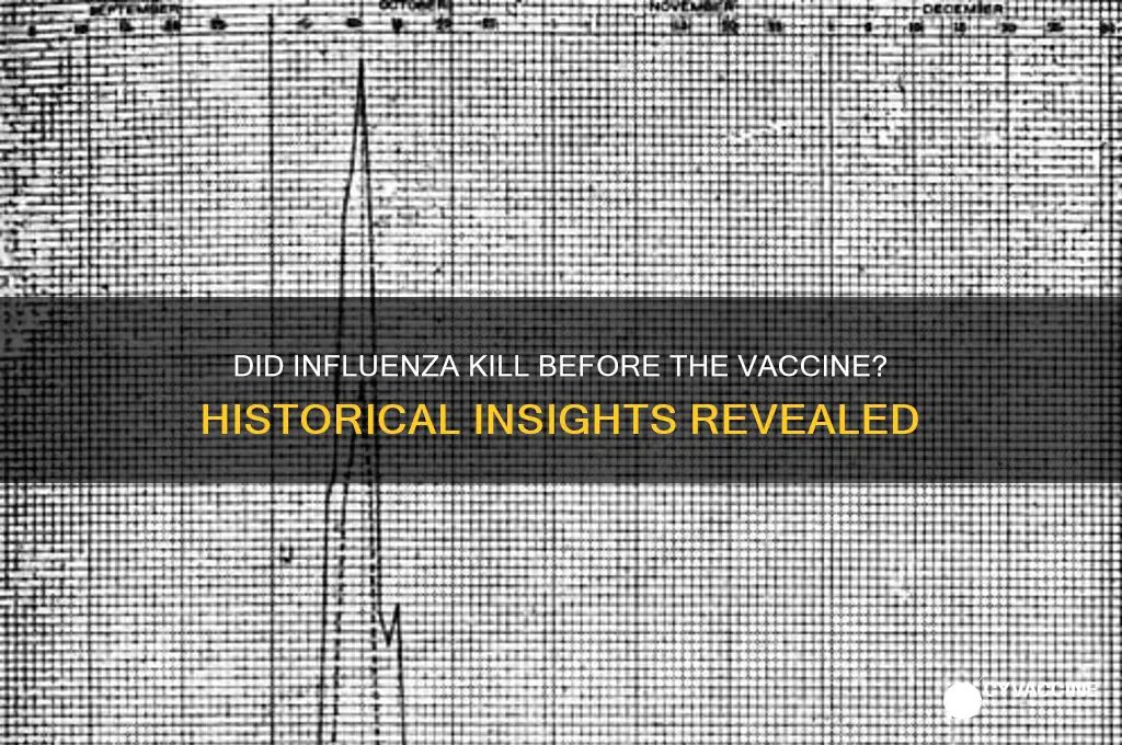 did influenza kill before the vaccine