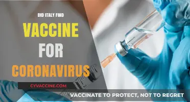 Italy's Breakthrough: Potential Coronavirus Vaccine Discovered Amid Global Pandemic