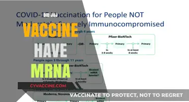 J&J Vaccine: Does It Contain mRNA Technology? Unraveling the Facts