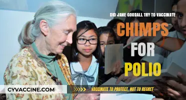 Jane Goodall's Polio Vaccine Drive for Chimps