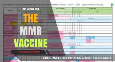 Japan's MMR Vaccine Ban: Fact or Fiction? Uncovering the Truth