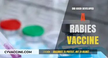 Koch's Contribution: Did He Develop the Rabies Vaccine?