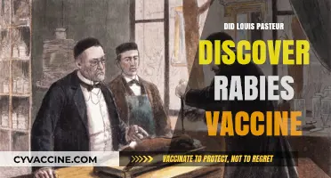 Louis Pasteur's Rabies Vaccine Discovery: Fact or Fiction?