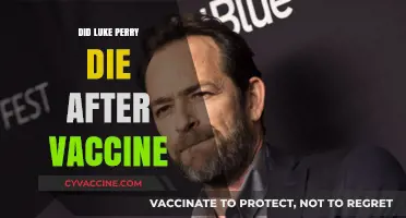 Luke Perry's Death: Unraveling the Vaccine Speculation and Facts