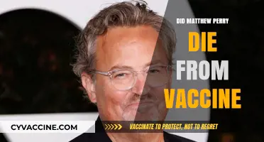 Matthew Perry's Death: Vaccine-Related or Unrelated Causes?