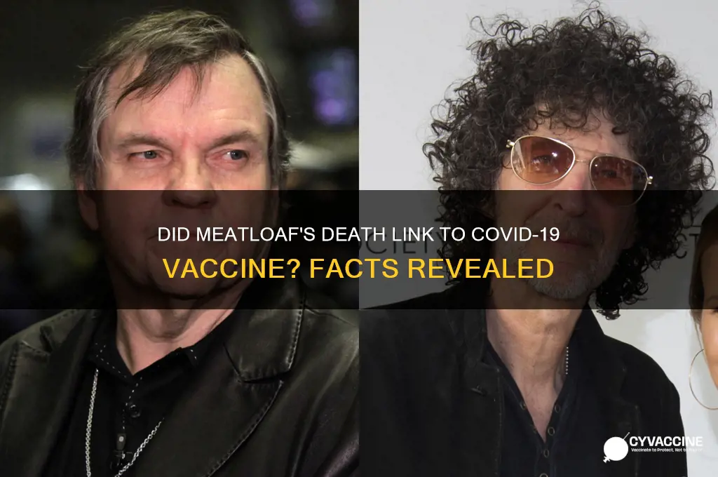 did meatloaf die from the vaccine