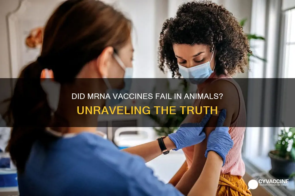 did mrna vaccines fail in animals