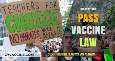 New York's New Vaccine Law: What You Need to Know