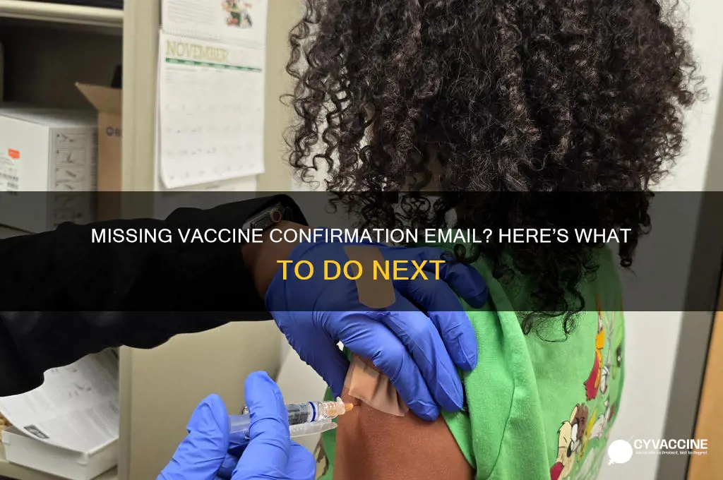 did not receive vaccine confirmation email