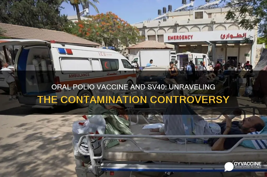 did oral polio vaccine have sv40