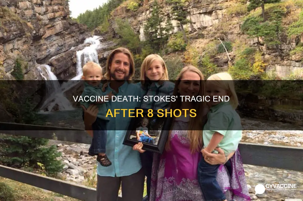 did owen matthew stokes die 48 hours after 8 vaccines