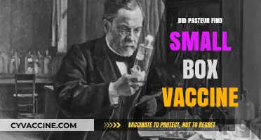 Did Pasteur Discover the Smallpox Vaccine? Unraveling the Scientific Truth