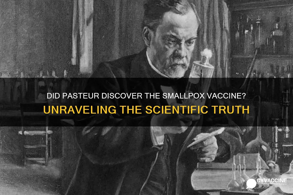 did pasteur find small box vaccine
